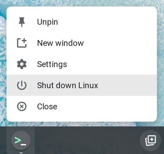 Shutting down the Linux container.